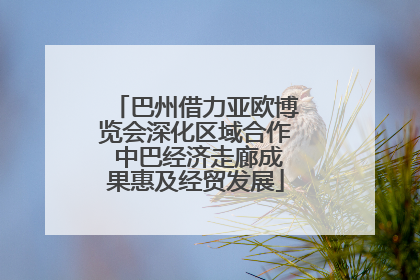 巴州借力亚欧博览会深化区域合作 中巴经济走廊成果惠及经贸发展