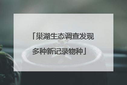 巢湖生态调查发现多种新记录物种