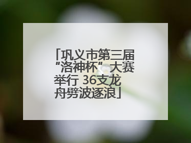 巩义市第三届“洛神杯”大赛举行 36支龙舟劈波逐浪