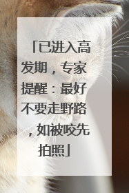 已进入高发期，专家提醒：最好不要走野路，如被咬先拍照