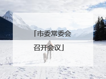 市委常委会召开会议