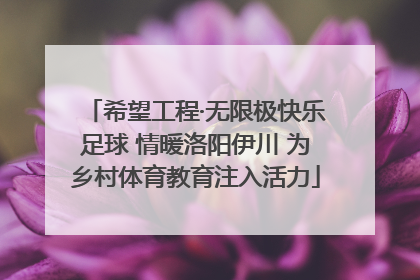 希望工程·无限极快乐足球 情暖洛阳伊川 为乡村体育教育注入活力