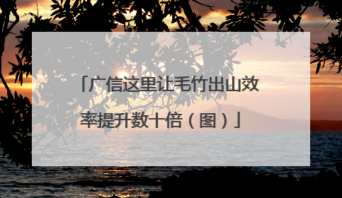 广信这里让毛竹出山效率提升数十倍（图）