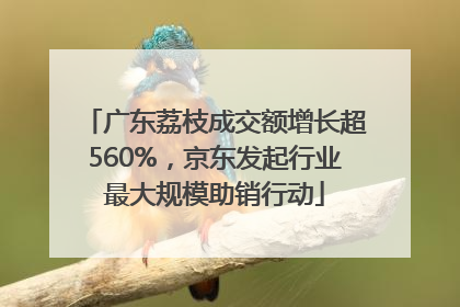 广东荔枝成交额增长超560%，京东发起行业最大规模助销行动