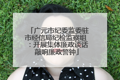 广元市纪委监委驻市经信局纪检监察组：开展集体廉政谈话 敲响廉政警钟