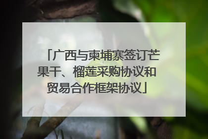 广西与柬埔寨签订芒果干、榴莲采购协议和贸易合作框架协议