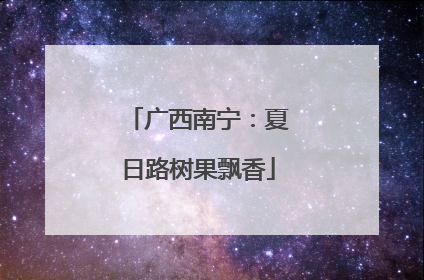 广西南宁：夏日路树果飘香