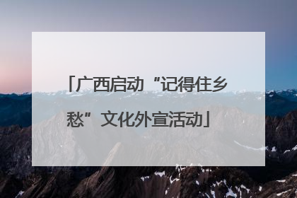 广西启动“记得住乡愁”文化外宣活动