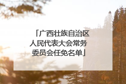 广西壮族自治区人民代表大会常务委员会任免名单