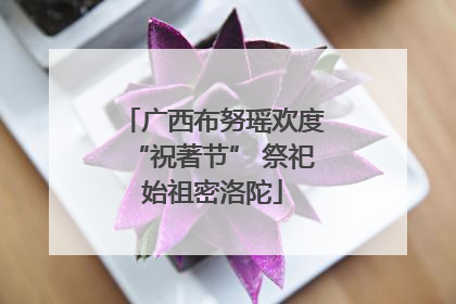 广西布努瑶欢度“祝著节” 祭祀始祖密洛陀