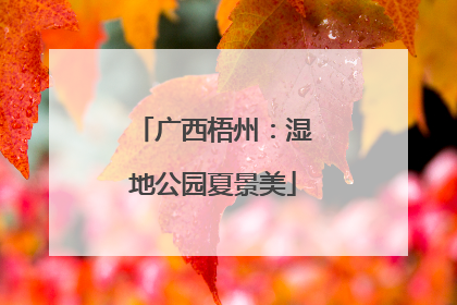 广西梧州：湿地公园夏景美