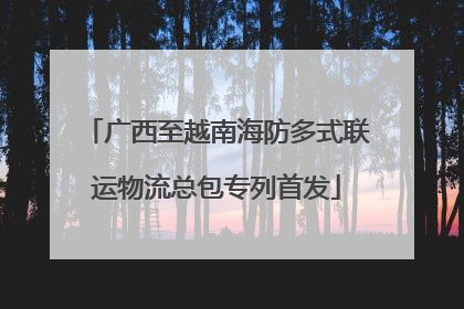 广西至越南海防多式联运物流总包专列首发