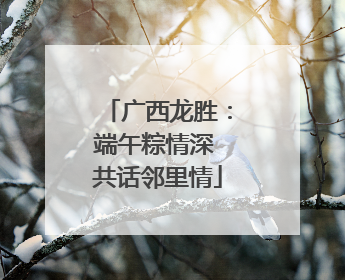 广西龙胜：端午粽情深 共话邻里情