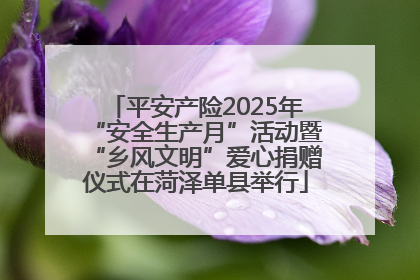 平安产险2025年“安全生产月”活动暨“乡风文明”爱心捐赠仪式在菏泽单县举行