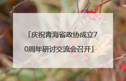庆祝青海省政协成立70周年研讨交流会召开