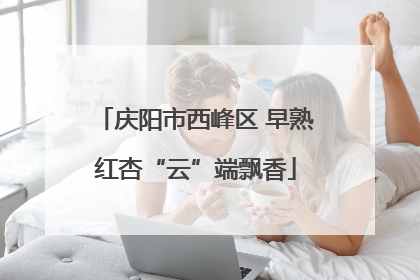 庆阳市西峰区 早熟红杏“云”端飘香