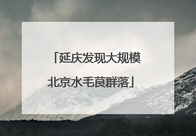 延庆发现大规模北京水毛茛群落