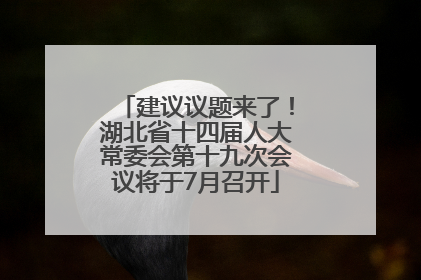 建议议题来了！湖北省十四届人大常委会第十九次会议将于7月召开