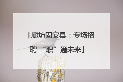 廊坊固安县：专场招聘 “职”通未来