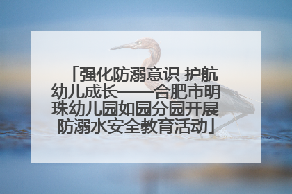 强化防溺意识 护航幼儿成长——合肥市明珠幼儿园如园分园开展防溺水安全教育活动