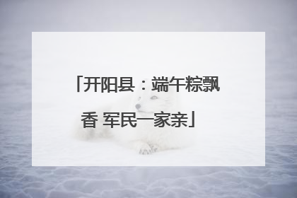 开阳县：端午粽飘香 军民一家亲