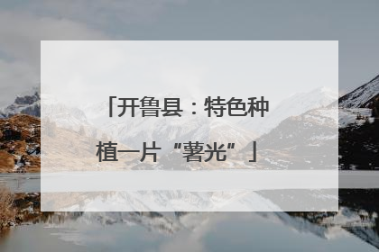 开鲁县：特色种植一片“薯光”