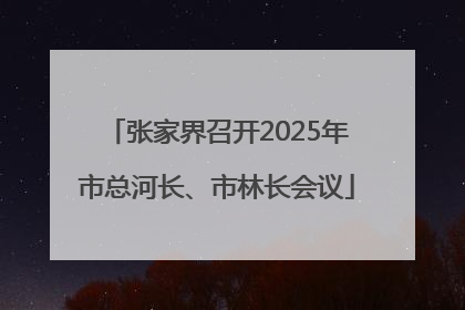 张家界召开2025年市总河长、市林长会议
