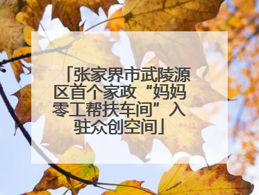 张家界市武陵源区首个家政“妈妈零工帮扶车间”入驻众创空间