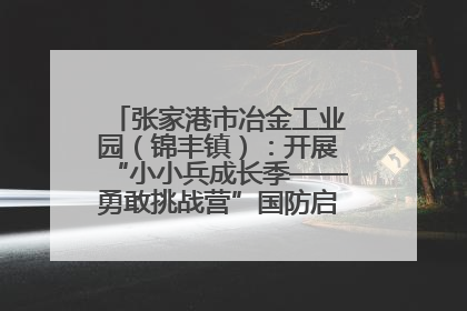 张家港市冶金工业园（锦丰镇）：开展“小小兵成长季——勇敢挑战营”国防启蒙教育活动