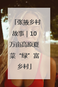 张掖乡村故事｜10万亩高原夏菜“绿”富乡村