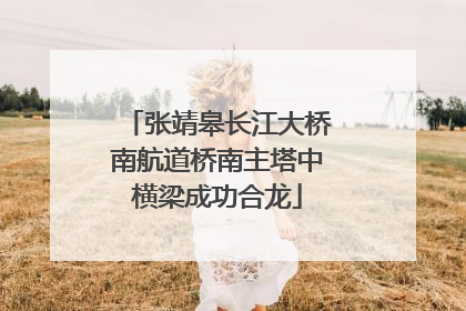 张靖皋长江大桥南航道桥南主塔中横梁成功合龙