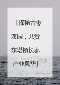 探秘古枣溪园，共赏东塔镇长枣产业风华
