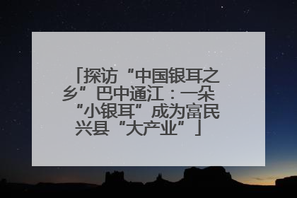 探访“中国银耳之乡”巴中通江：一朵“小银耳”成为富民兴县“大产业”