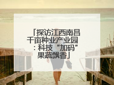 探访江西南昌千亩种业产业园：科技“加码” 果蔬飘香