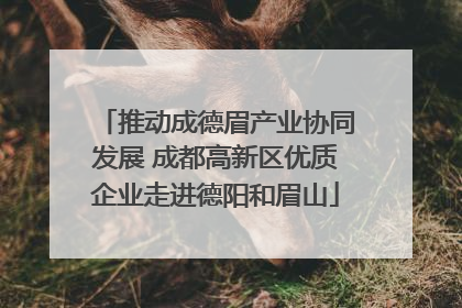 推动成德眉产业协同发展 成都高新区优质企业走进德阳和眉山