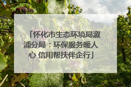 怀化市生态环境局溆浦分局：环保服务暖人心 信用帮扶伴企行