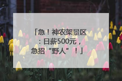 急！神农架景区：日薪500元，急招“野人”！