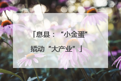 息县：“小金蛋”撬动“大产业”