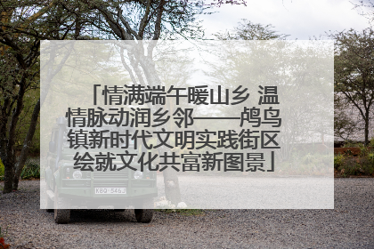 情满端午暖山乡 温情脉动润乡邻——鸬鸟镇新时代文明实践街区绘就文化共富新图景