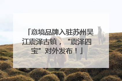 意境品牌入驻苏州吴江震泽古镇，“震泽四宝”对外发布！