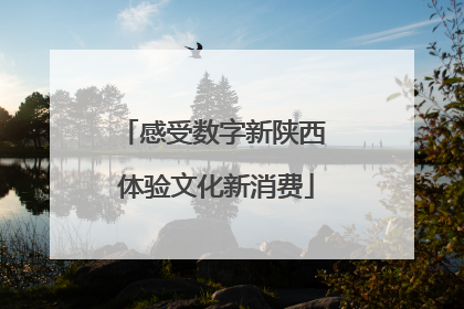 感受数字新陕西 体验文化新消费