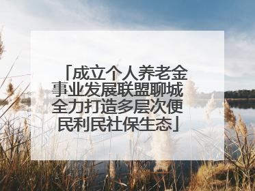 成立个人养老金事业发展联盟聊城全力打造多层次便民利民社保生态