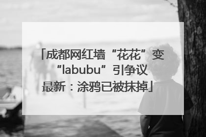 成都网红墙“花花”变“labubu”引争议 最新：涂鸦已被抹掉