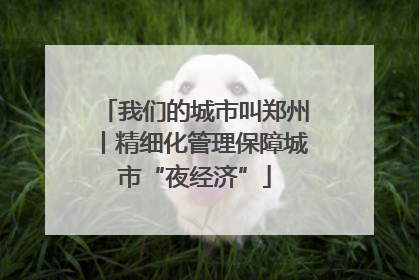 我们的城市叫郑州丨精细化管理保障城市“夜经济”
