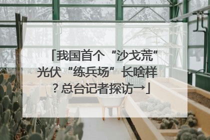 我国首个“沙戈荒”光伏“练兵场”长啥样？总台记者探访→