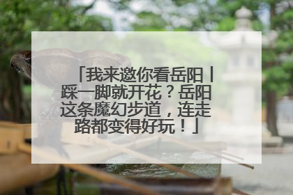 我来邀你看岳阳丨踩一脚就开花？岳阳这条魔幻步道，连走路都变得好玩！