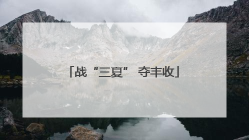 战“三夏” 夺丰收