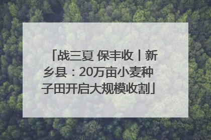 战三夏 保丰收丨新乡县：20万亩小麦种子田开启大规模收割