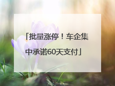 批量涨停！车企集中承诺60天支付