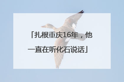 扎根重庆16年，他一直在听化石说话
